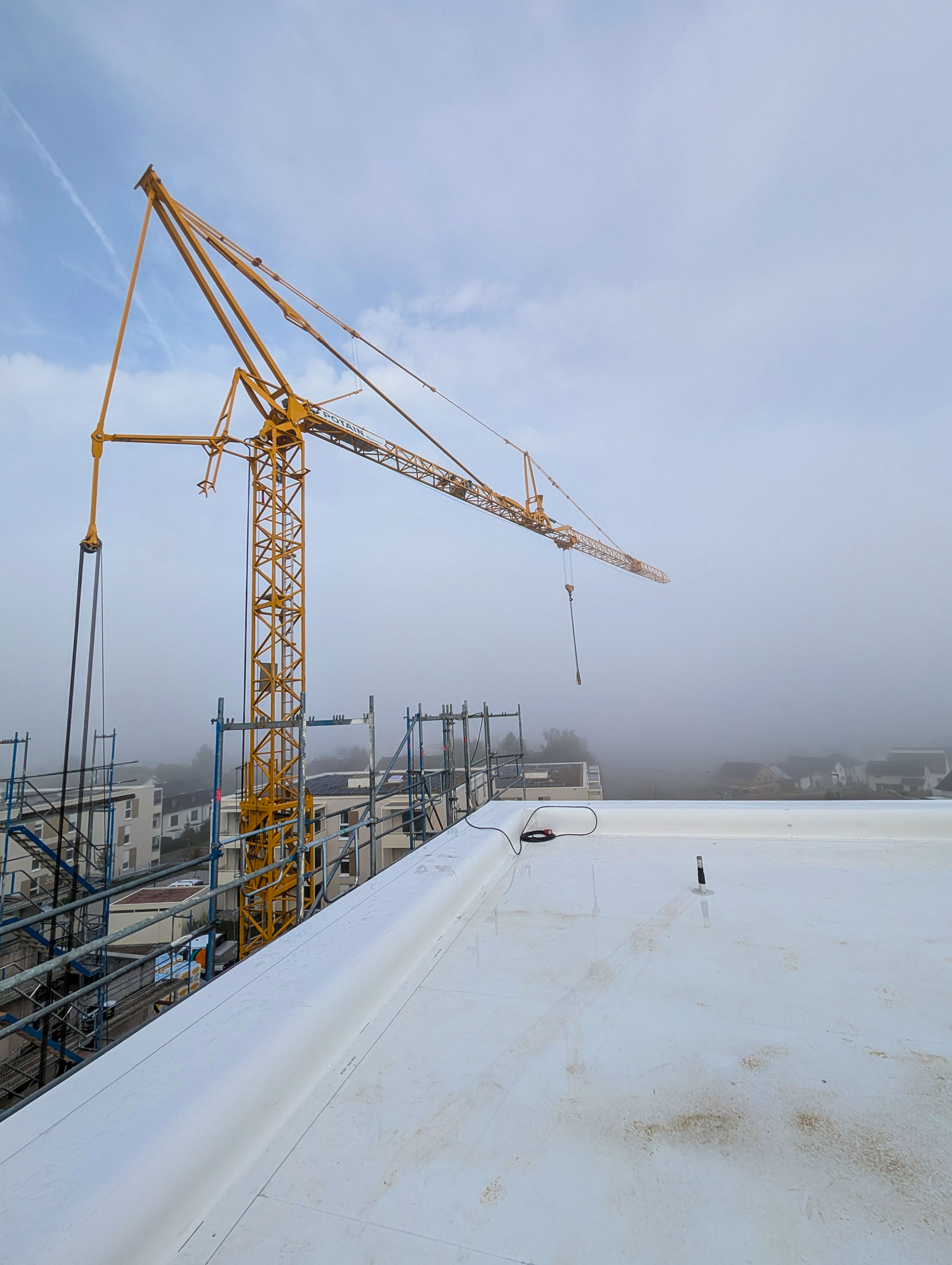 Humperdinckpark_Nebel